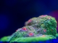 img_9249